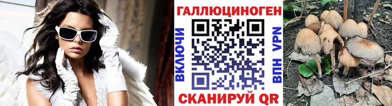 Купить закладки  Артёмовск  Псилоцибиновые грибы Magic Shrooms 